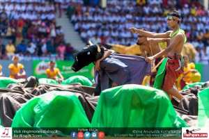 12141175_10154299773154251_2085686204123585010_o 